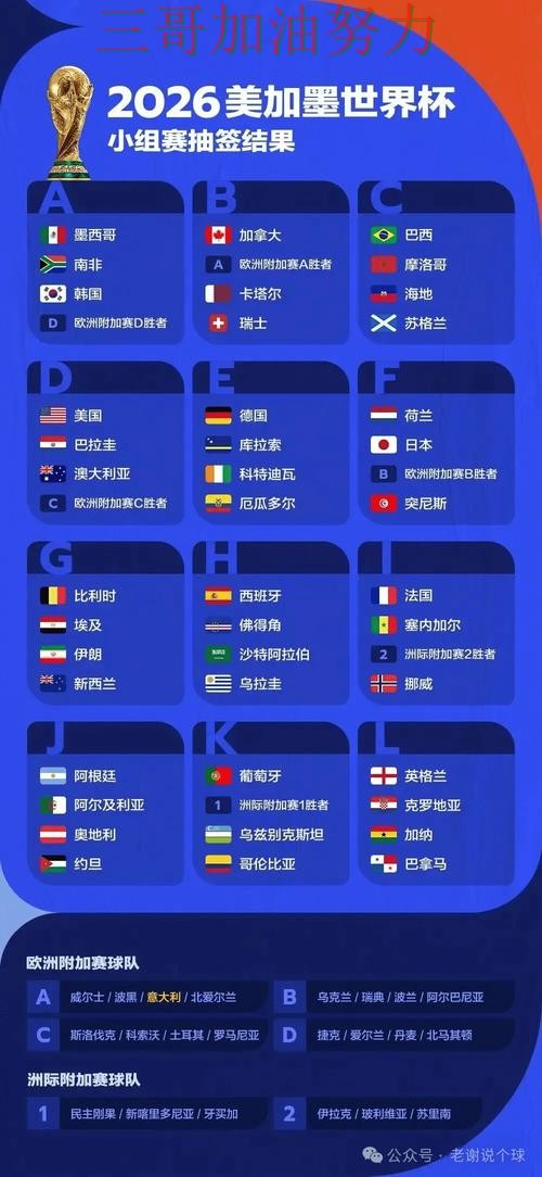 揭秘世界杯买球平台：从玩法指南到直播观看全流程解析 - 世界杯全球总决赛
